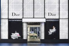 2019不容错过的Dior迪奥包包系列