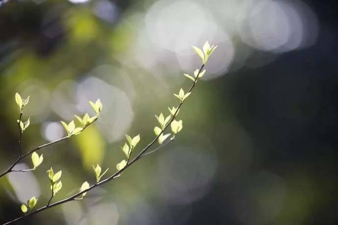 手表回收，南宁手表回收，回收手表